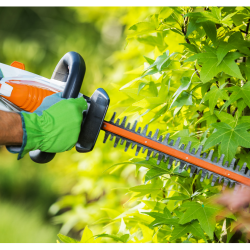 Gartenpflege Leistung